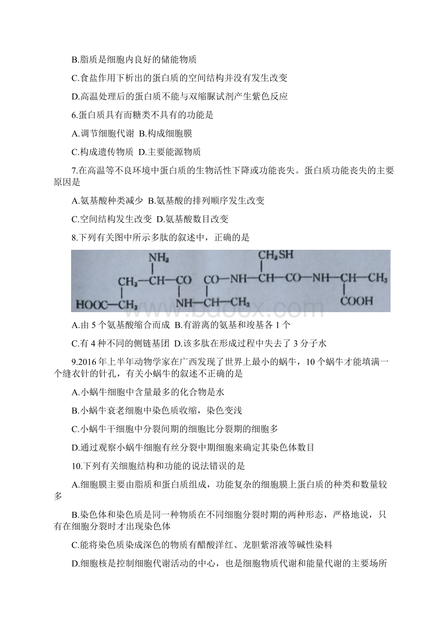 江西省上饶市学年高一生物下学期期末考试试题.docx_第2页