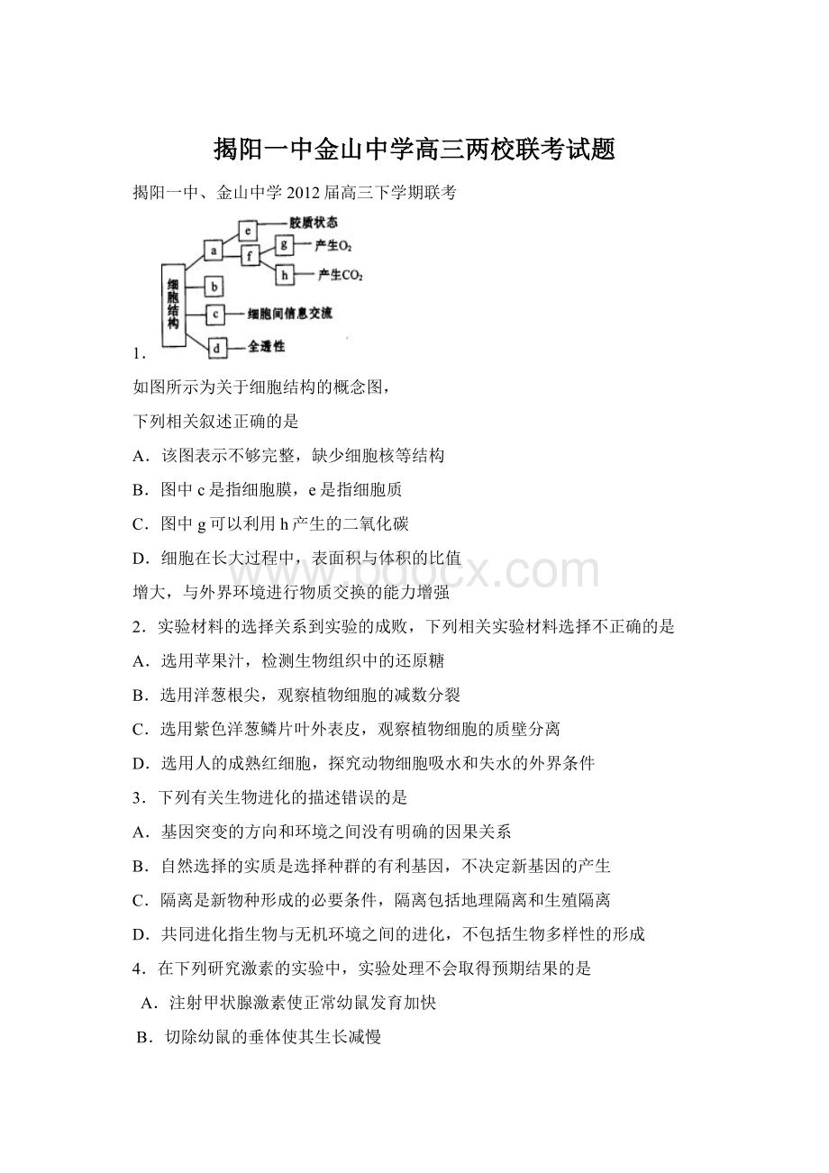 揭阳一中金山中学高三两校联考试题Word格式文档下载.docx