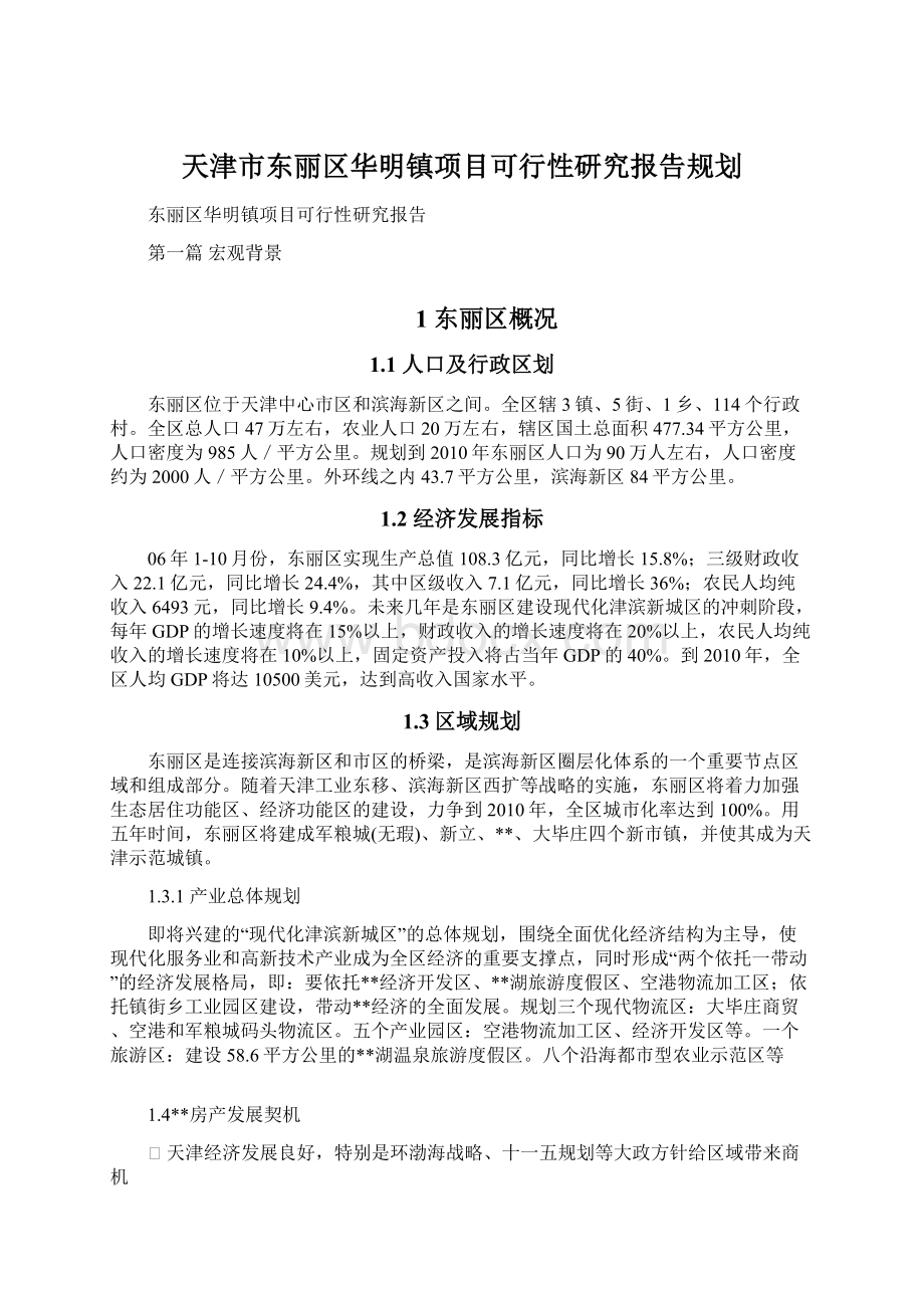 天津市东丽区华明镇项目可行性研究报告规划.docx_第1页