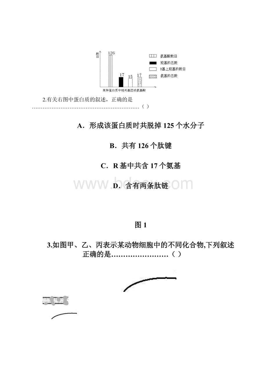 上海市黄浦区高考生物一模试题.docx_第2页