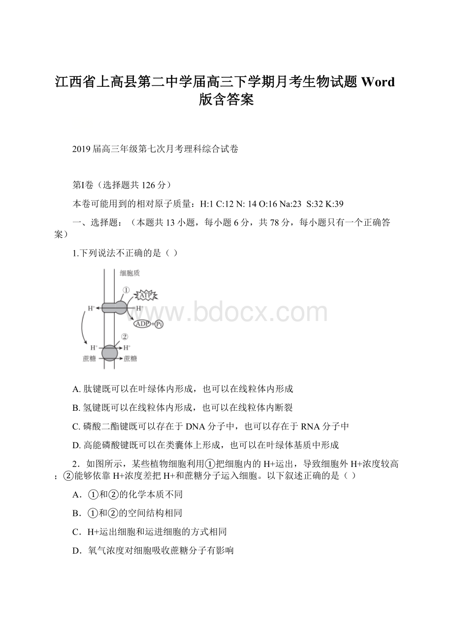 江西省上高县第二中学届高三下学期月考生物试题 Word版含答案.docx_第1页