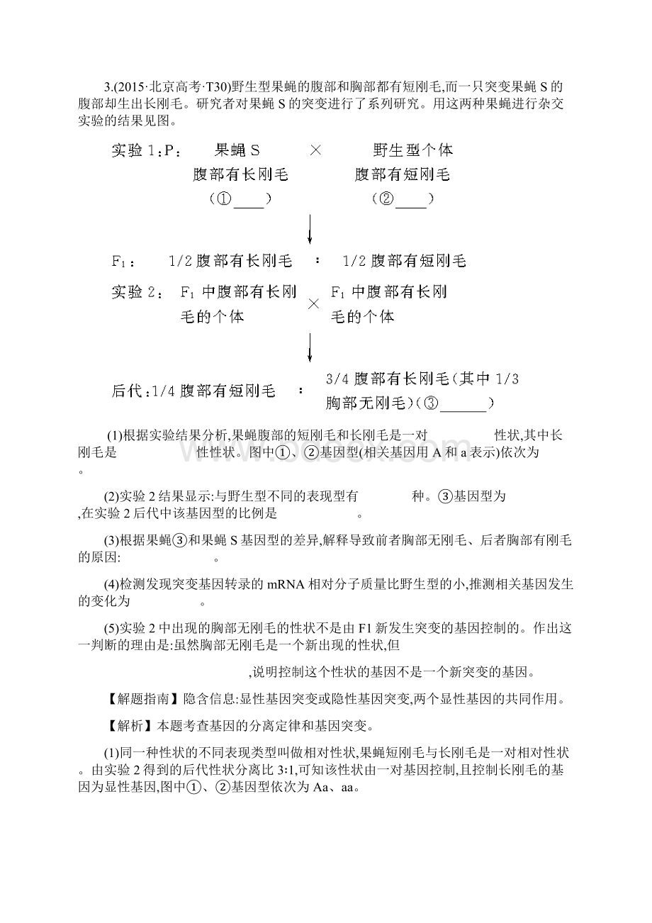 知识点10 遗传的基本规律.docx_第2页