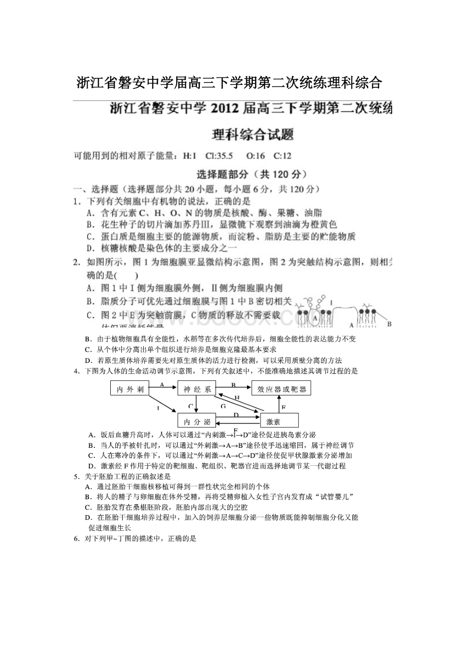 浙江省磐安中学届高三下学期第二次统练理科综合Word文档下载推荐.docx