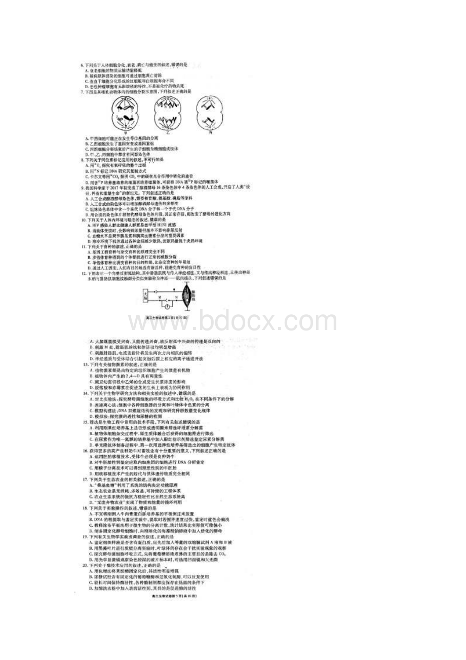 届江苏省无锡市普通高中高三上学期期末考试生物试题 图片版Word文档格式.docx_第2页