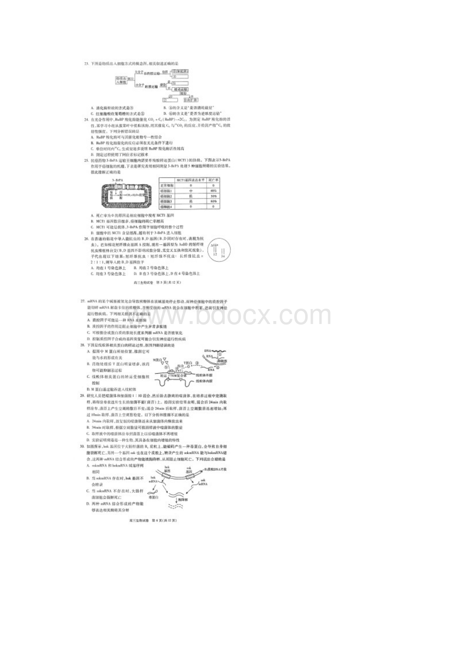 北京市朝阳区届高三生物上学期期中试题扫描版.docx_第3页