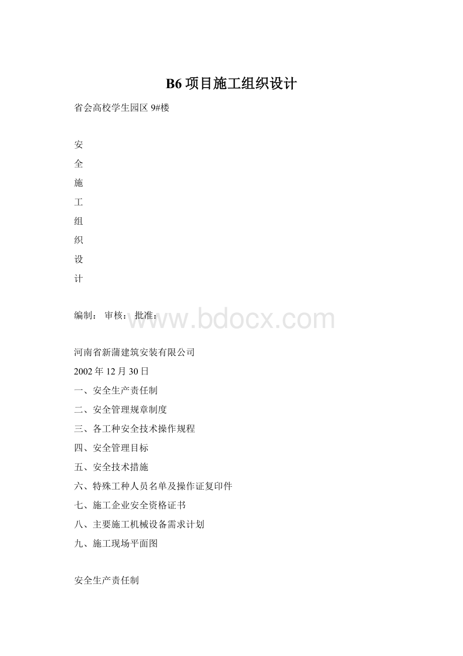 B6项目施工组织设计文档格式.docx