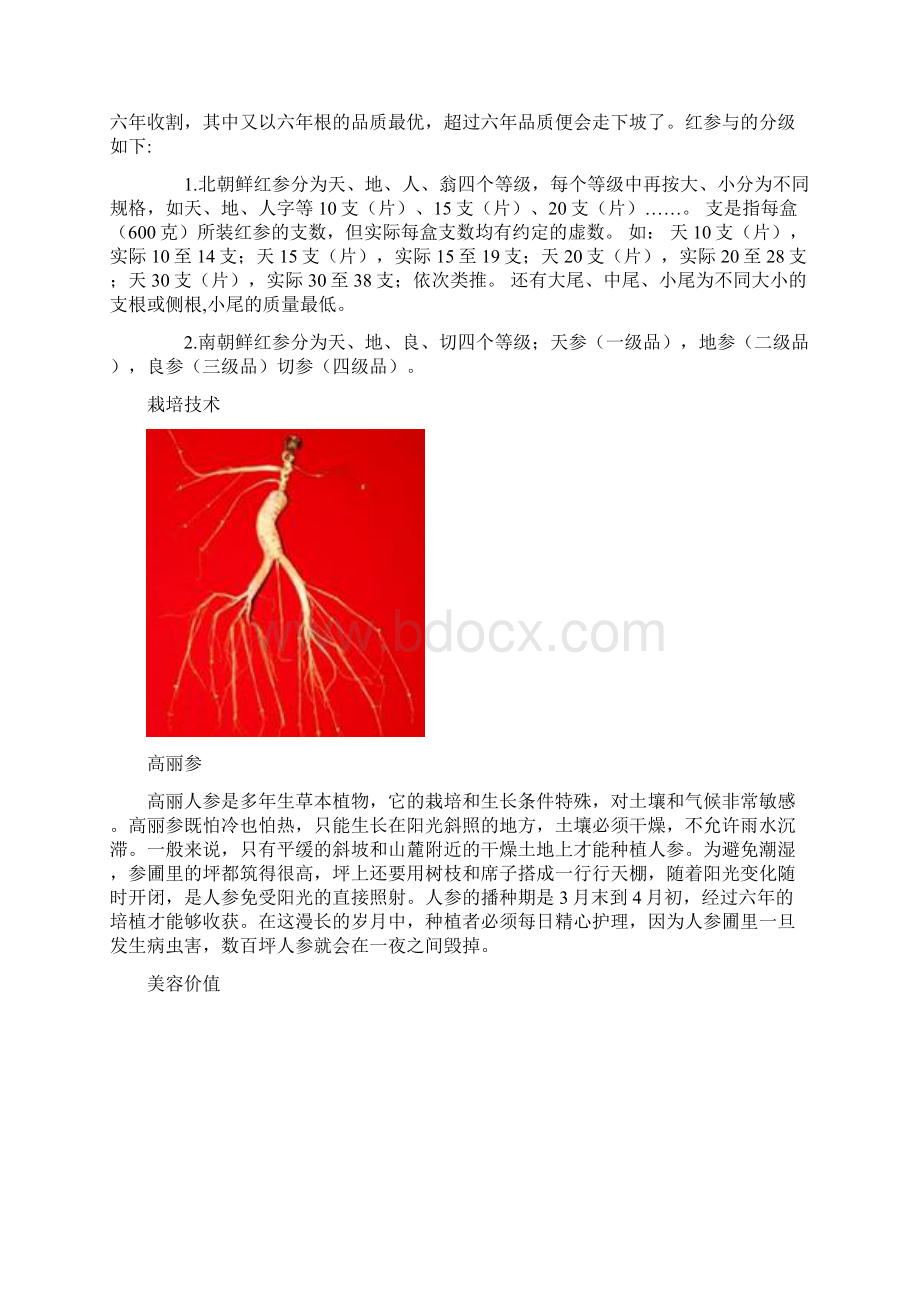 高丽参药册.docx_第3页