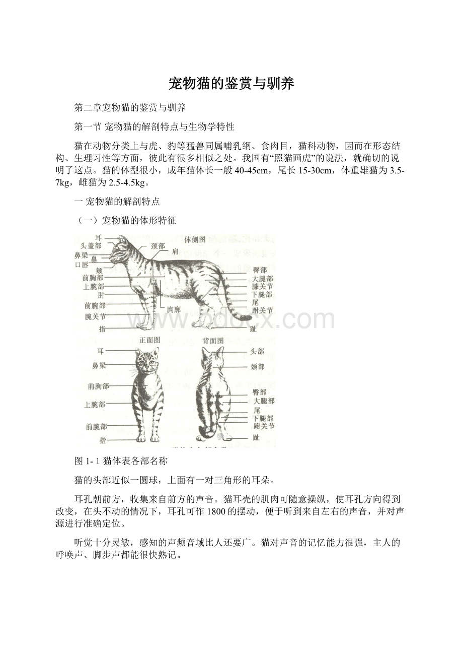 宠物猫的鉴赏与驯养.docx_第1页