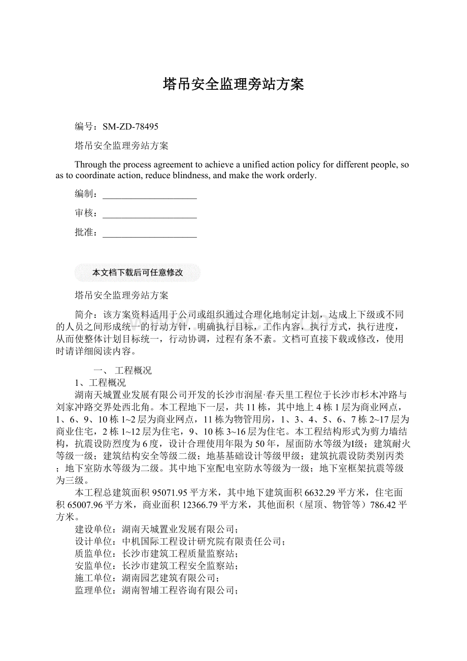 塔吊安全监理旁站方案.docx