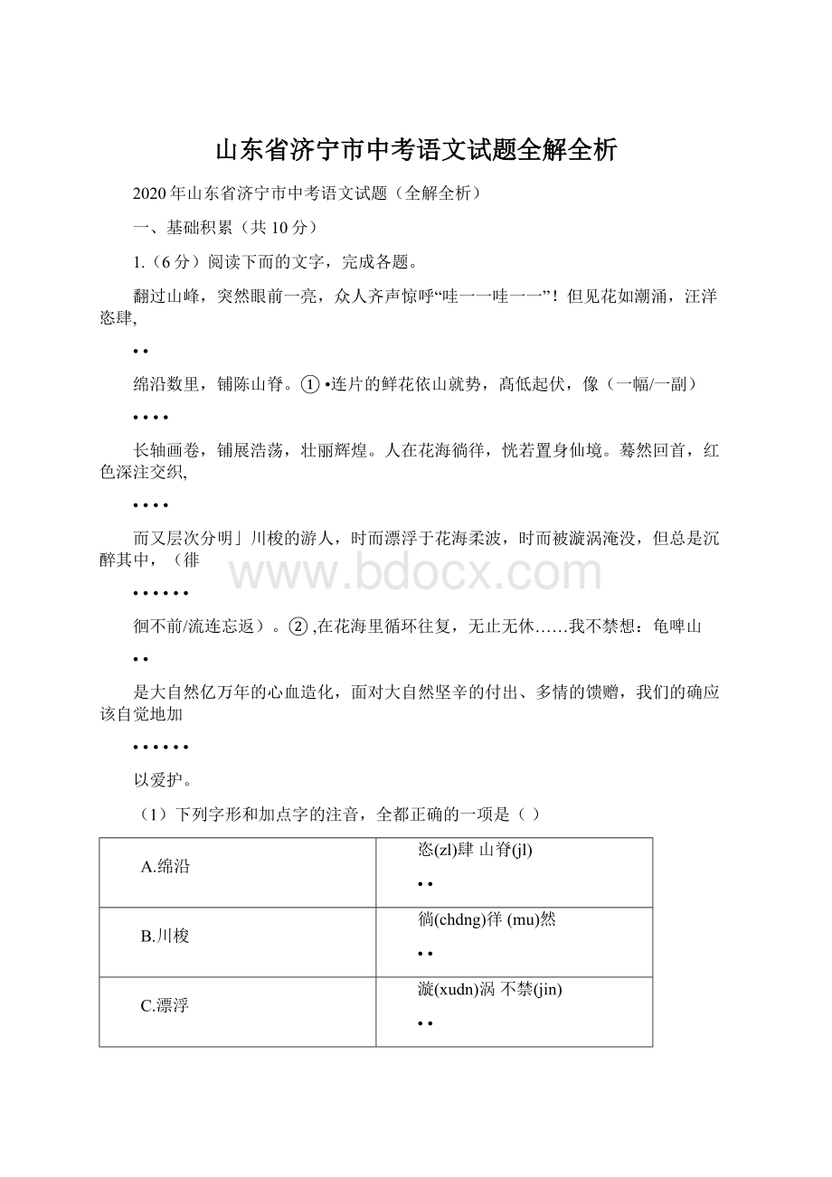 山东省济宁市中考语文试题全解全析.docx_第1页