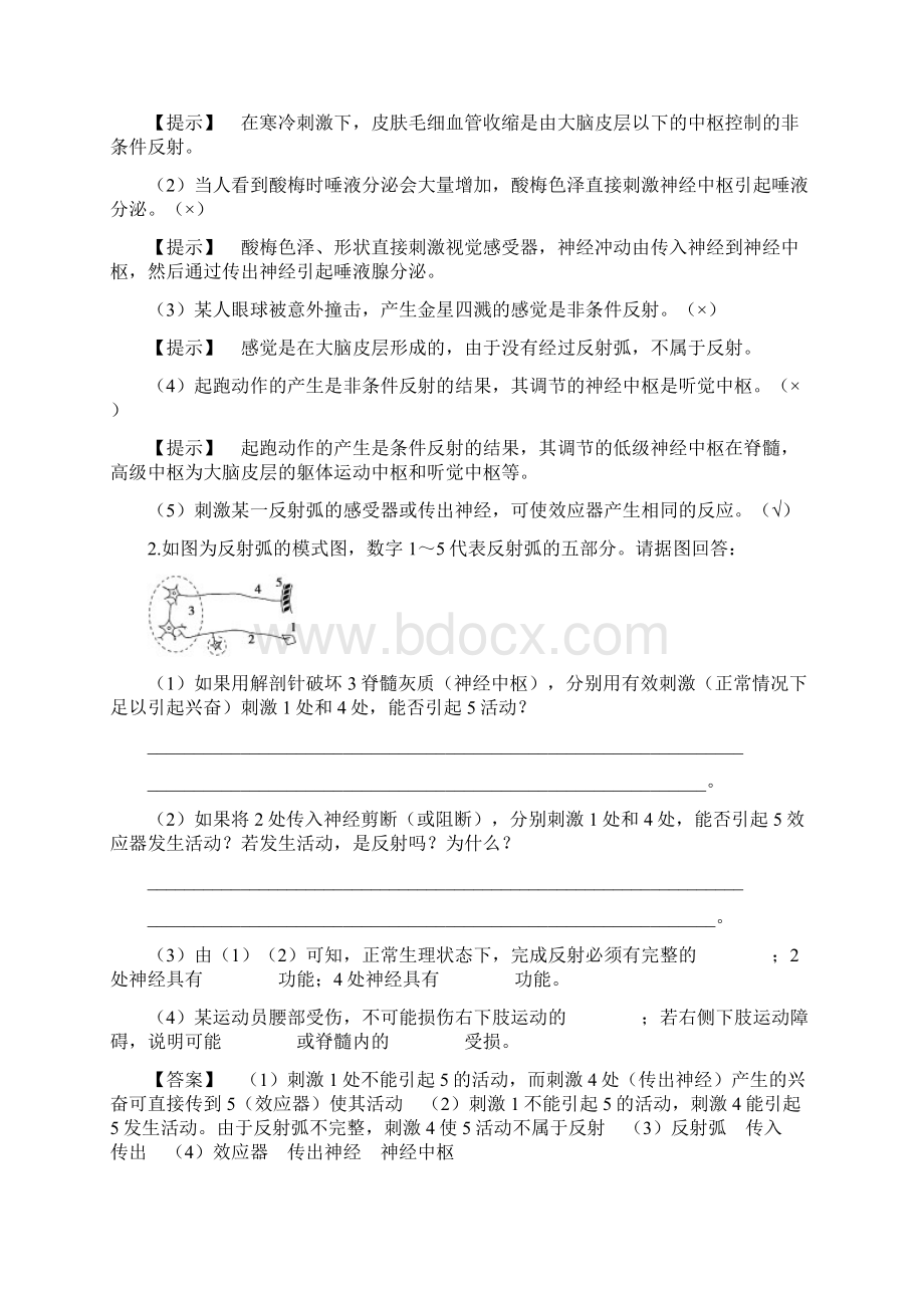 高考生物一轮复习人教版 通过神经系统的调节 教案适用全国doc.docx_第2页