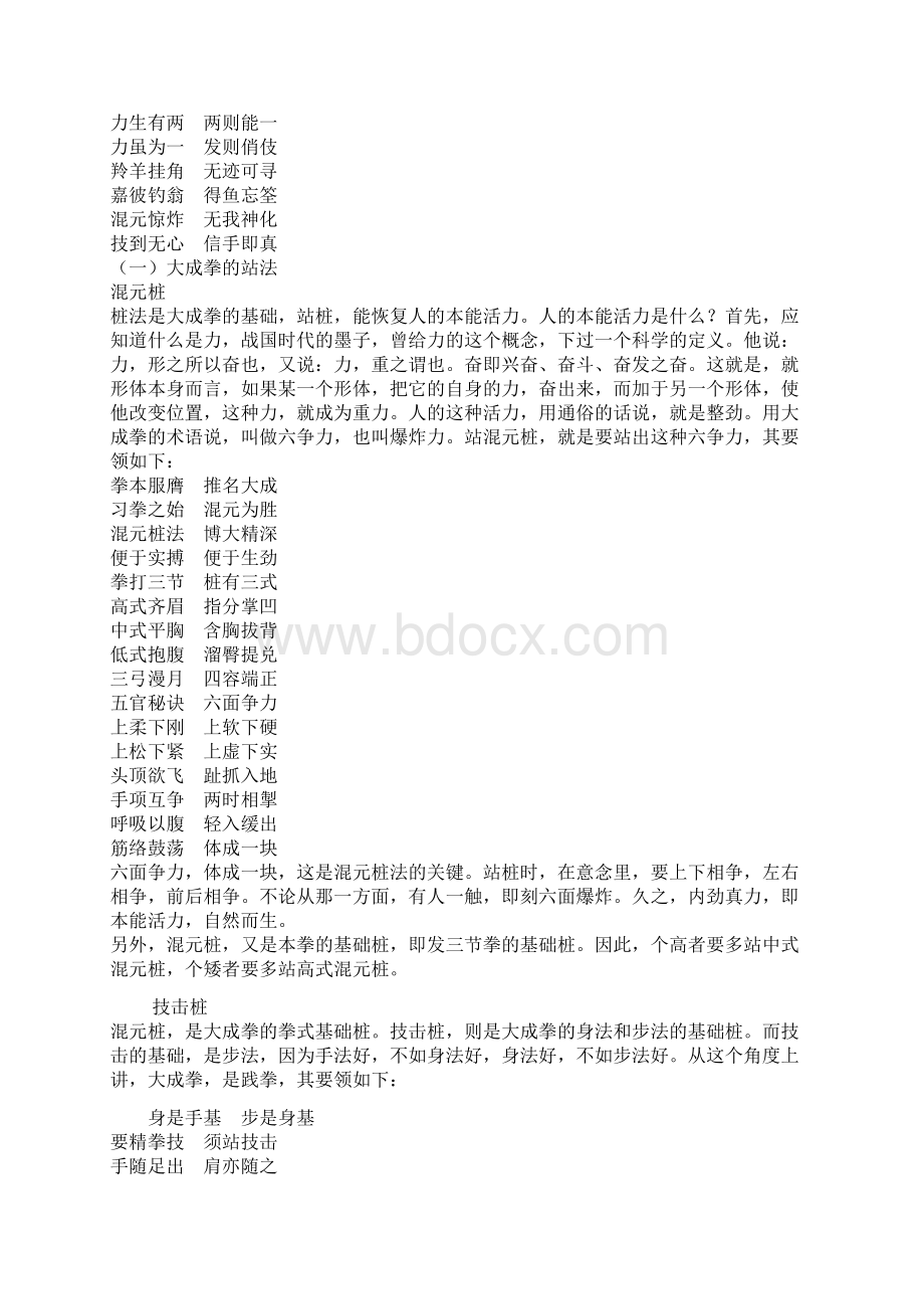 王芗斋大成拳拳谱桩法步法试力发劲实战技巧.docx_第3页