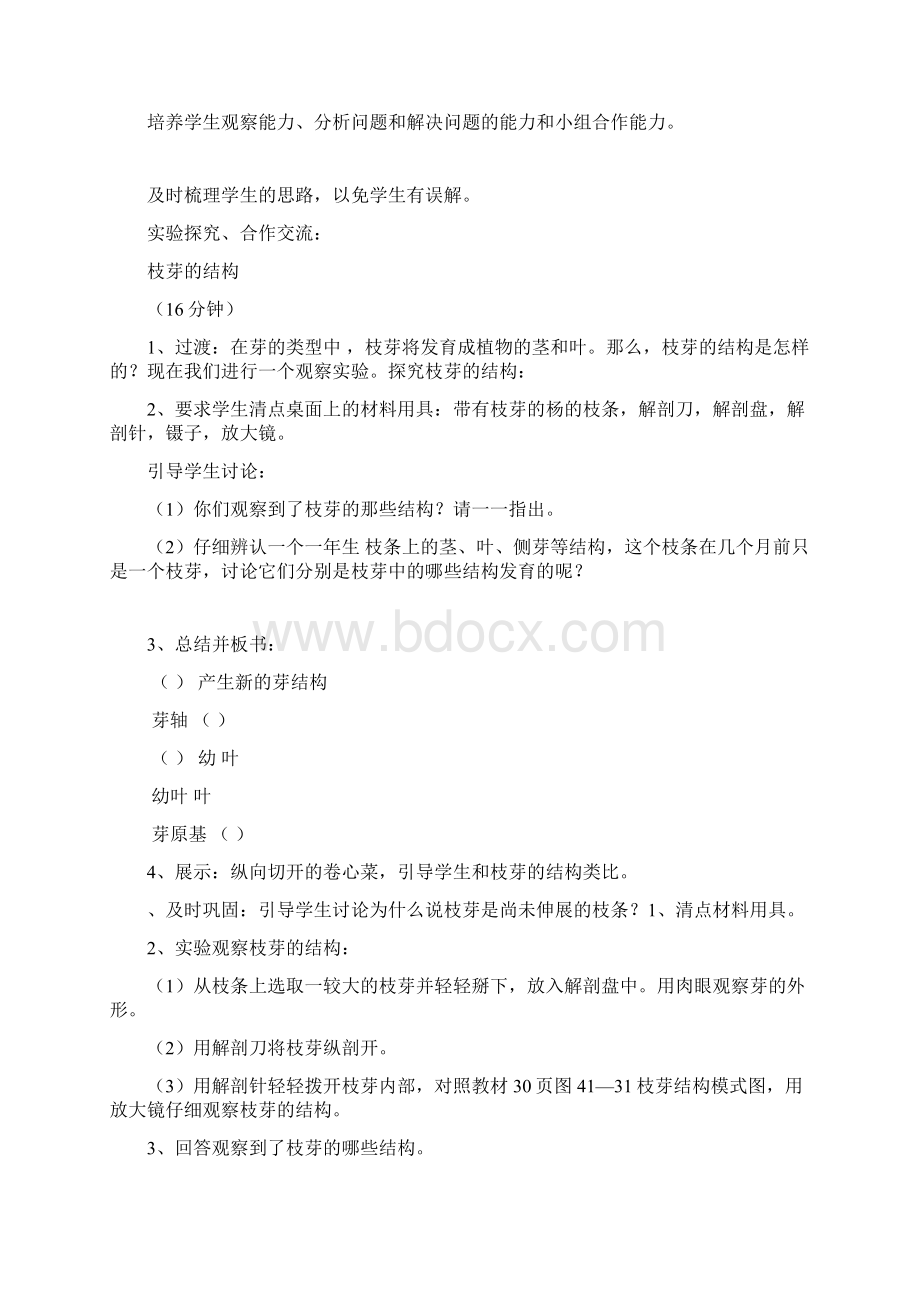 芽的类型和发育教案.docx_第3页