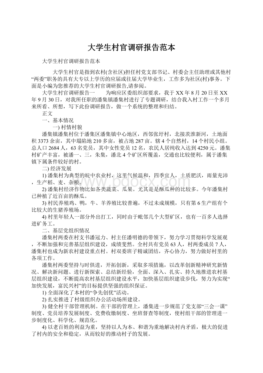 大学生村官调研报告范本文档格式.docx