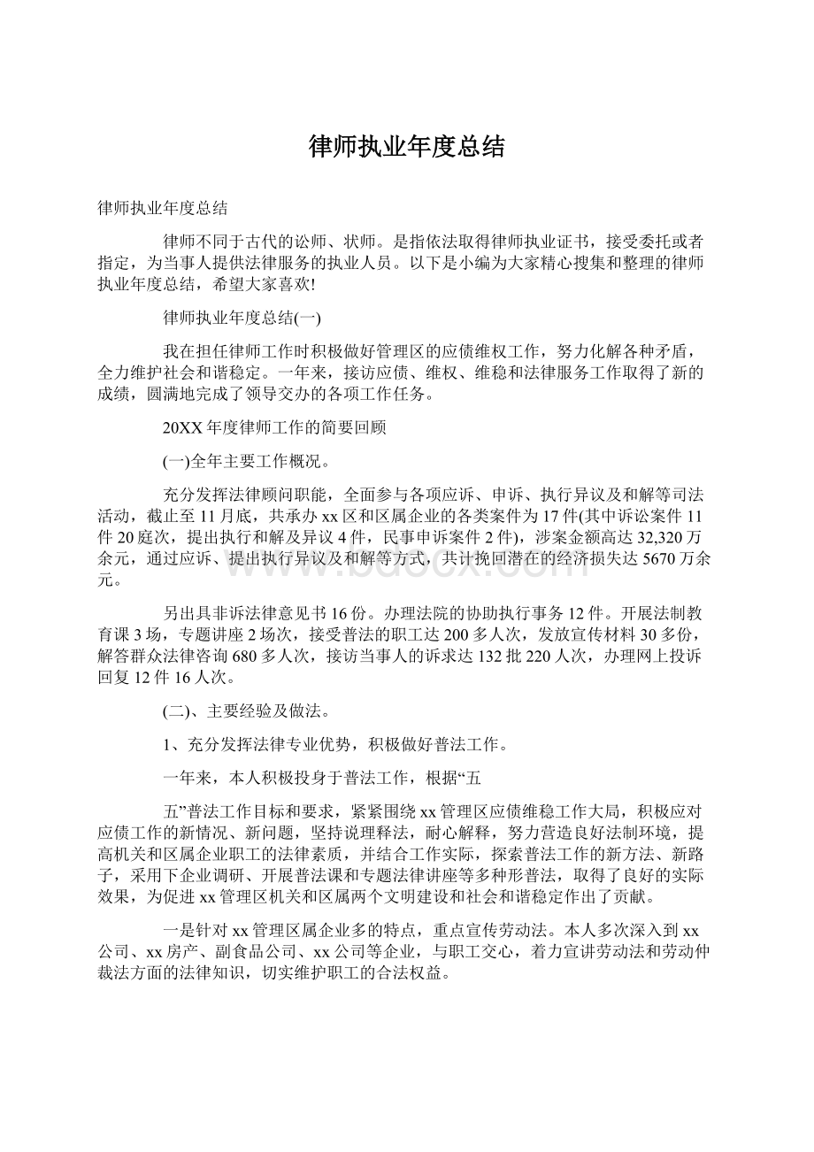 律师执业年度总结文档格式.docx