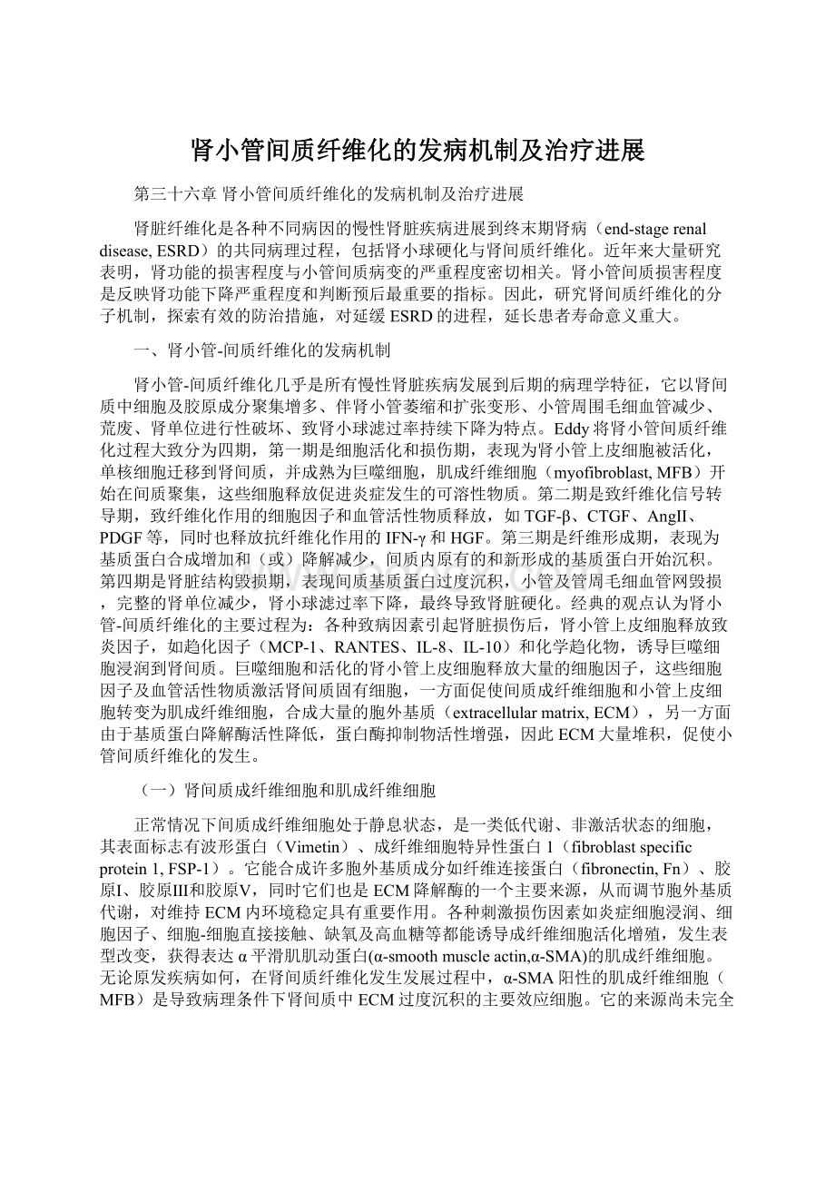 肾小管间质纤维化的发病机制及治疗进展Word文件下载.docx