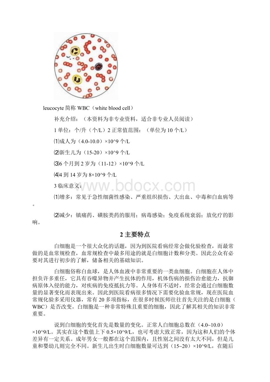 白细胞的概述文档格式.docx_第2页