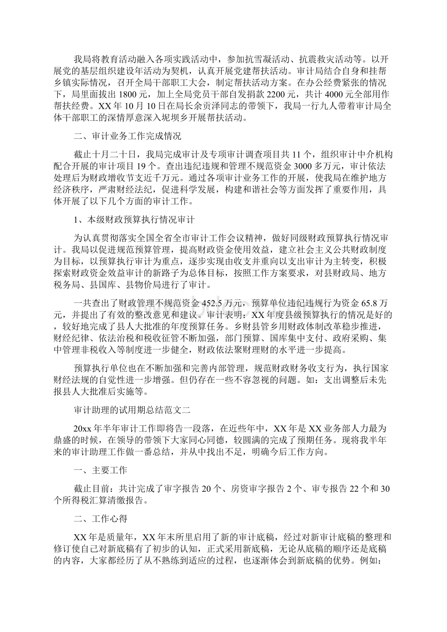 审计助理的试用期总结.docx_第2页