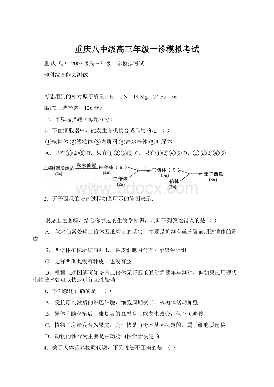 重庆八中级高三年级一诊模拟考试.docx_第1页