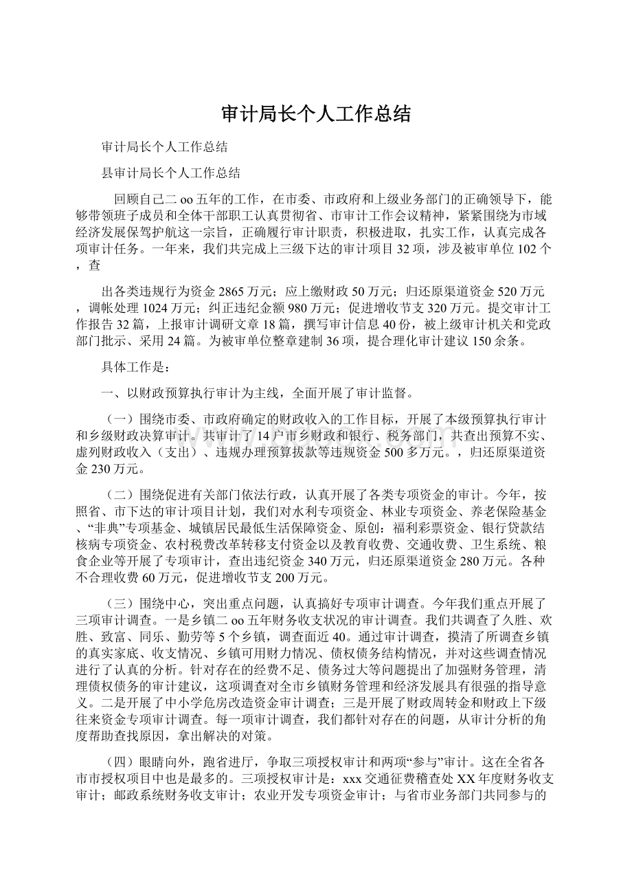 审计局长个人工作总结Word文档格式.docx