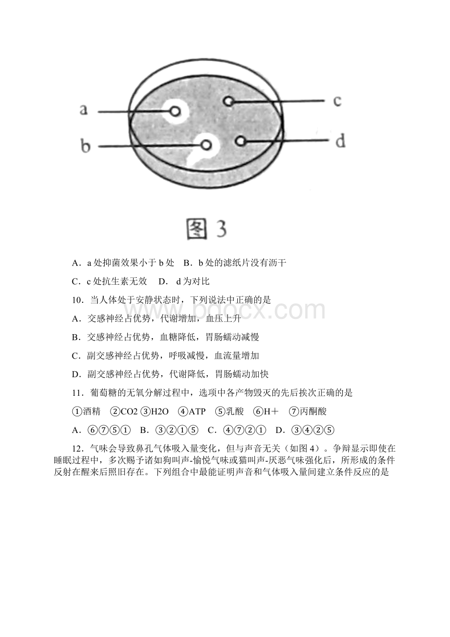 高考真题生物上海卷 Word版含答案.docx_第3页