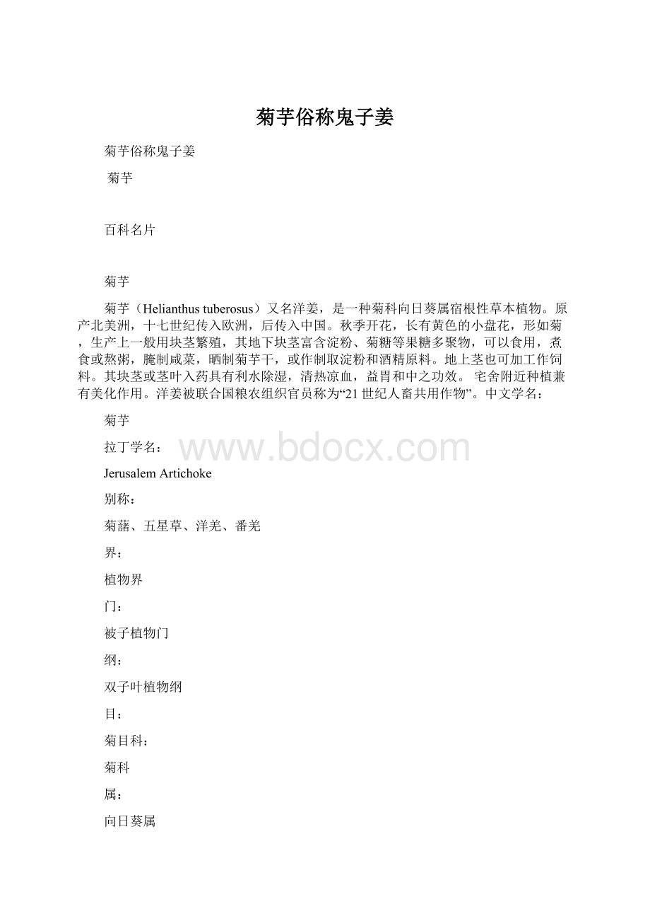 菊芋俗称鬼子姜Word格式.docx