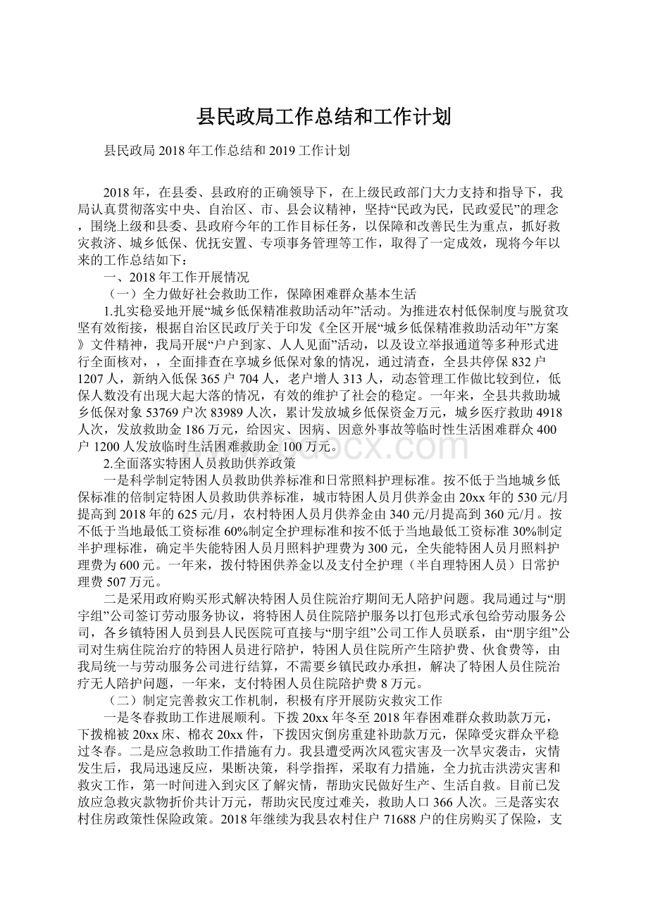 县民政局工作总结和工作计划Word文件下载.docx