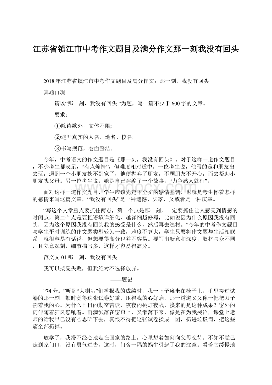 江苏省镇江市中考作文题目及满分作文那一刻我没有回头Word文件下载.docx