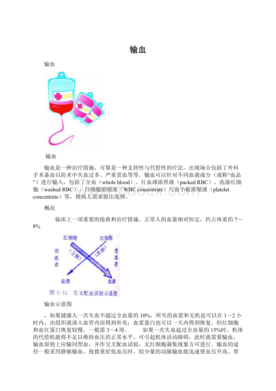 输血Word文档格式.docx