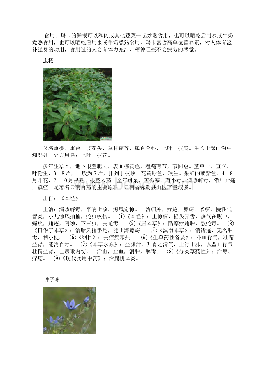 200亩药材种植基地扩建项目建议书全解.docx_第3页