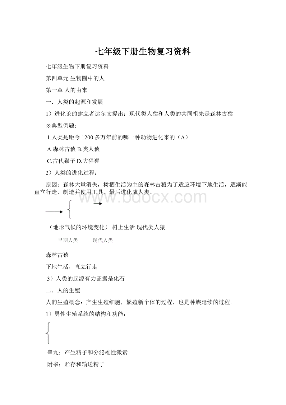 七年级下册生物复习资料Word文档下载推荐.docx