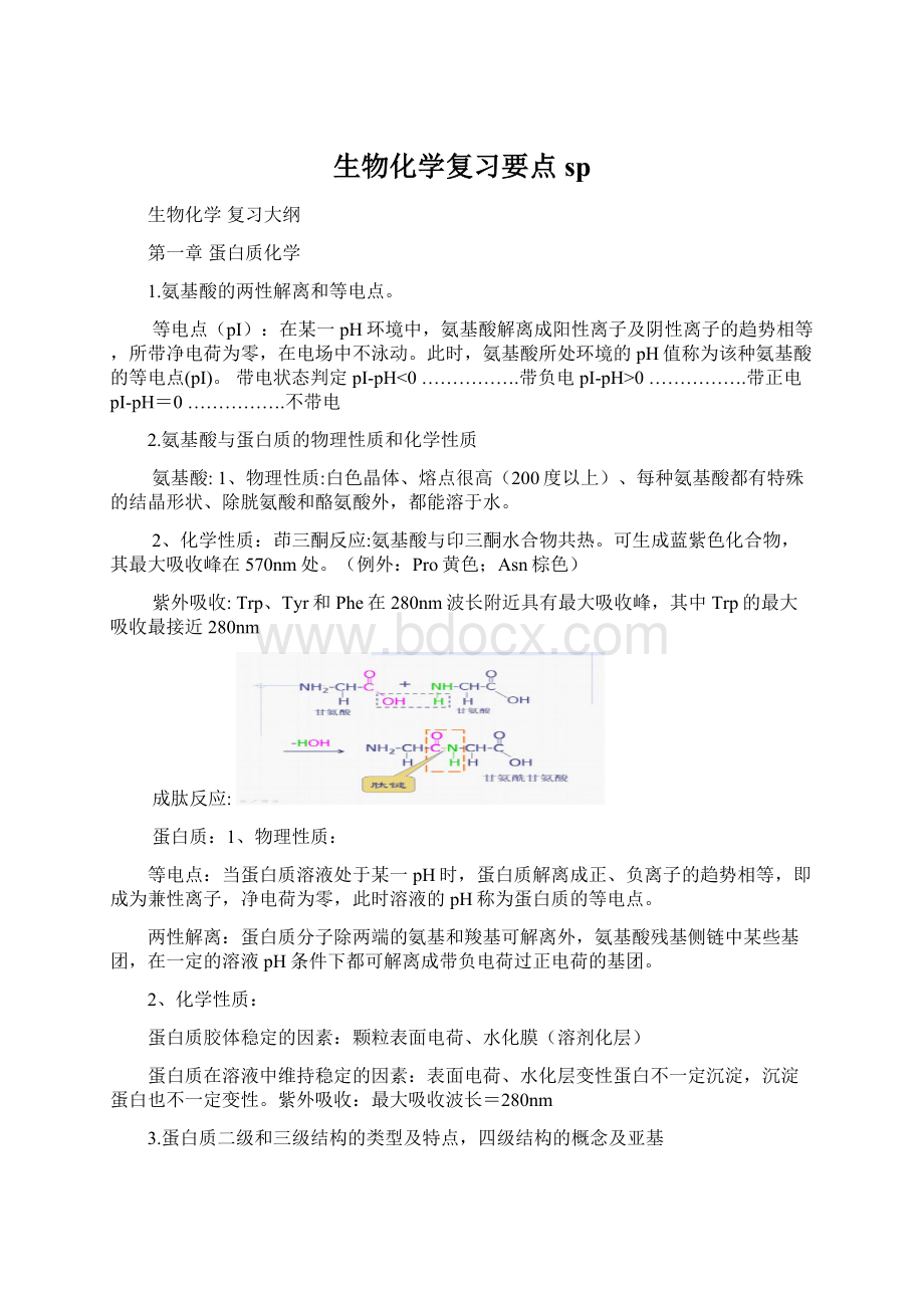 生物化学复习要点spWord格式文档下载.docx