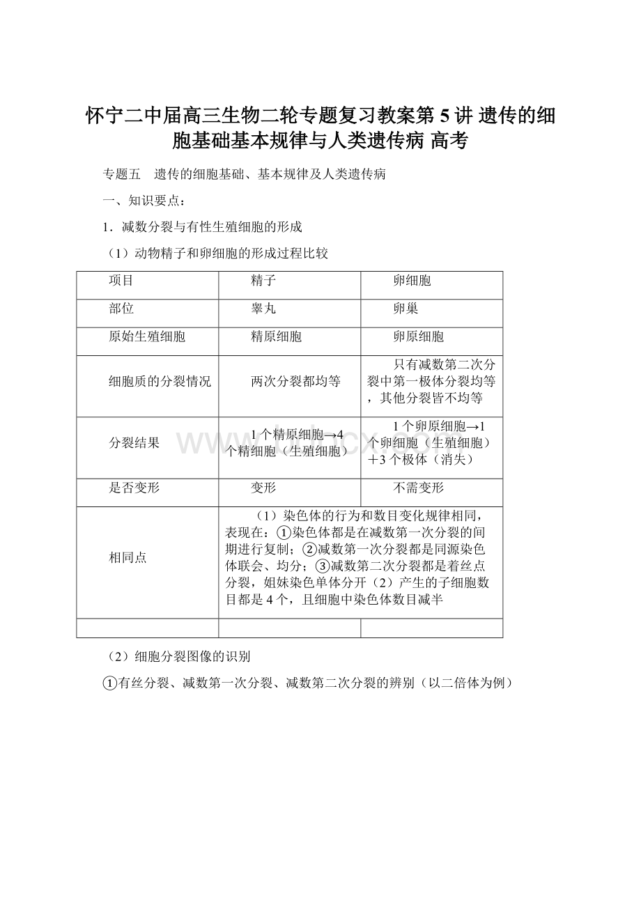 怀宁二中届高三生物二轮专题复习教案第5讲 遗传的细胞基础基本规律与人类遗传病高考.docx