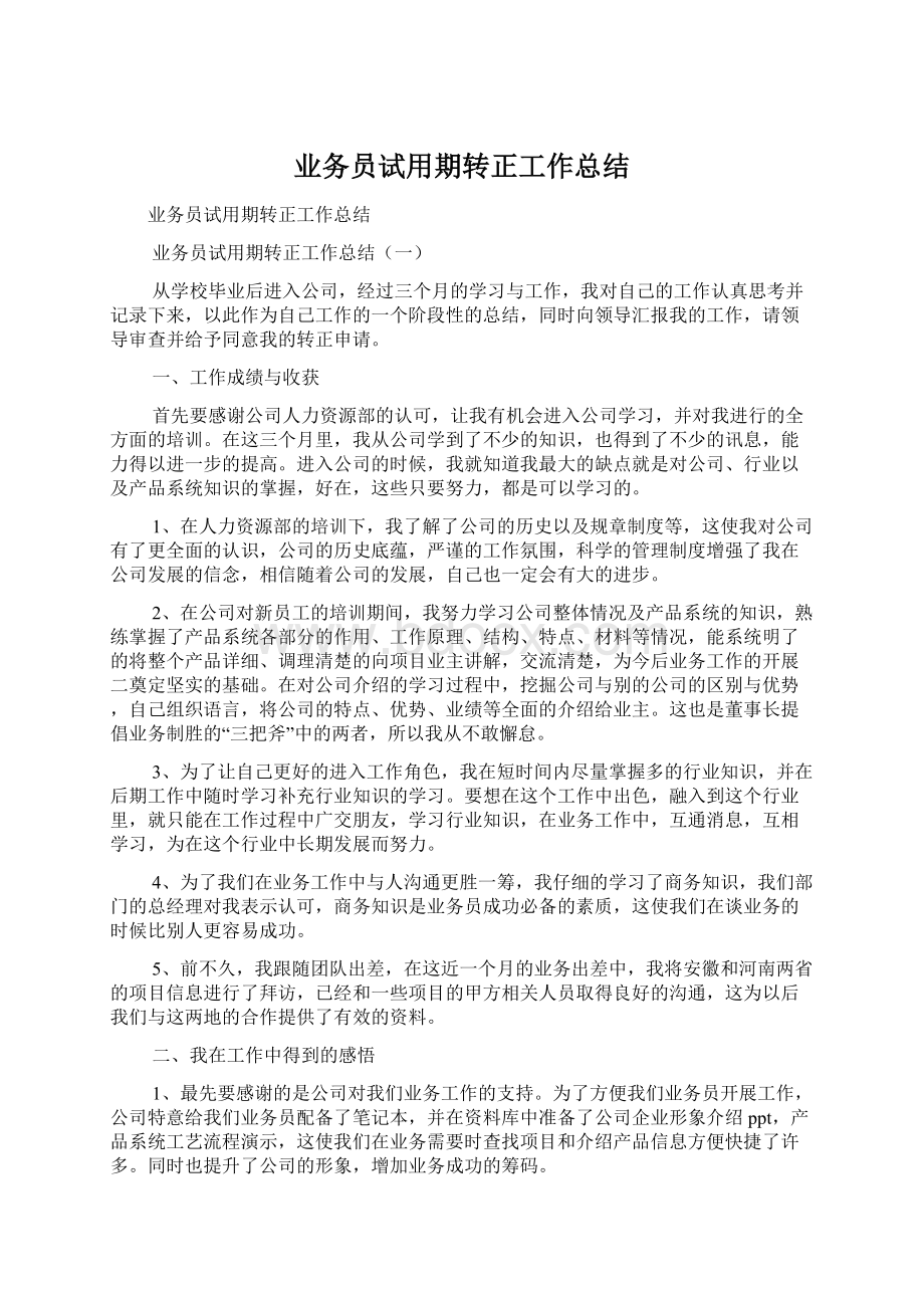 业务员试用期转正工作总结Word格式.docx