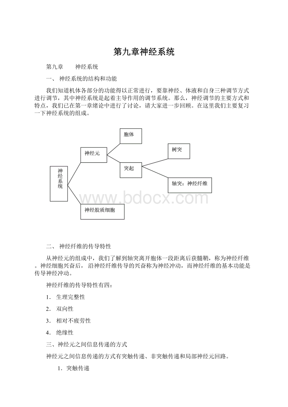 第九章神经系统文档格式.docx