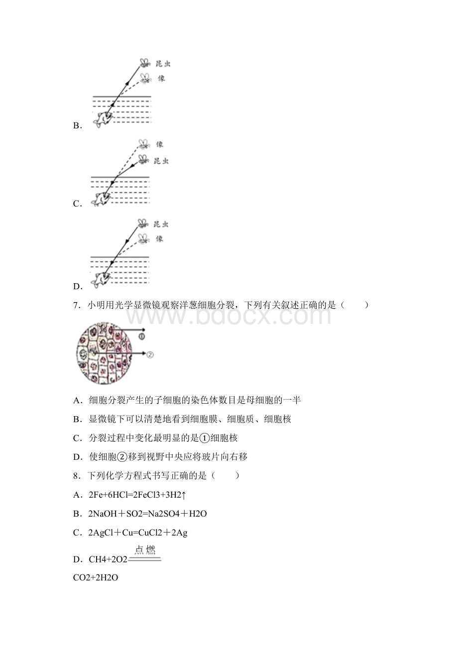 浙江省台州学院附中九年级中考模拟科学试题第五次统练.docx_第3页