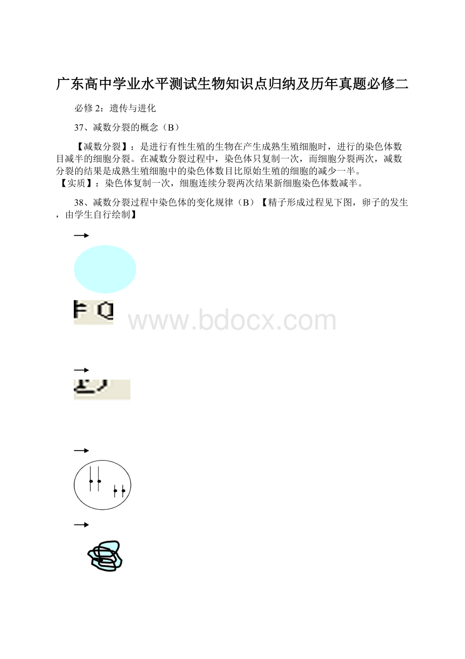 广东高中学业水平测试生物知识点归纳及历年真题必修二Word下载.docx_第1页