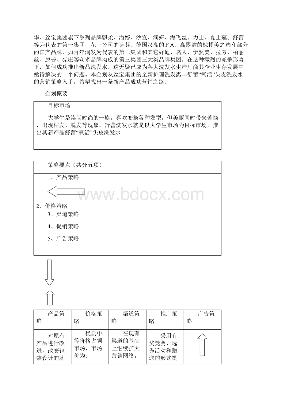 XX品牌洗发水市场推广及营销策划方案.docx_第2页