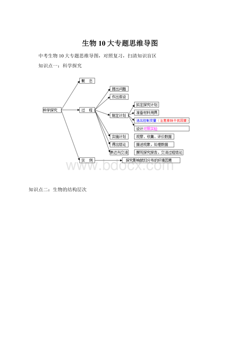 生物10大专题思维导图Word文档格式.docx