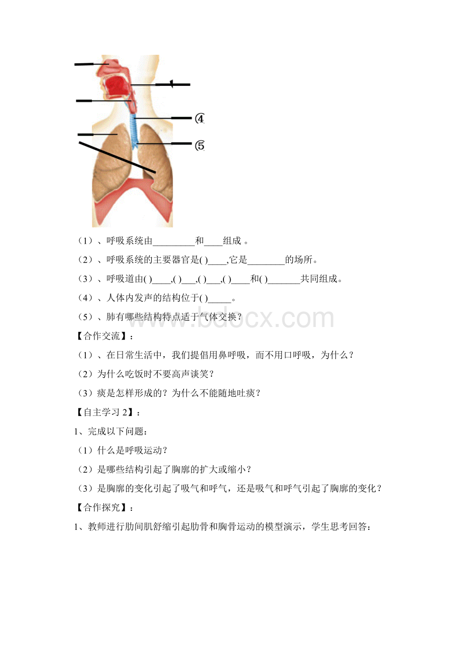 七年级生物下册 32《人的生活需要空气》复习学案 济南版文档格式.docx_第2页