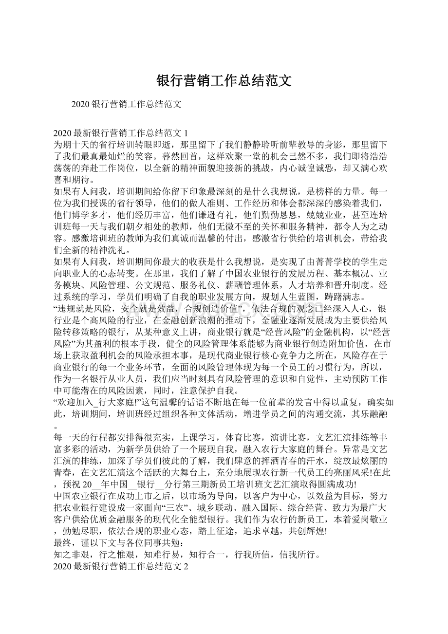 银行营销工作总结范文.docx