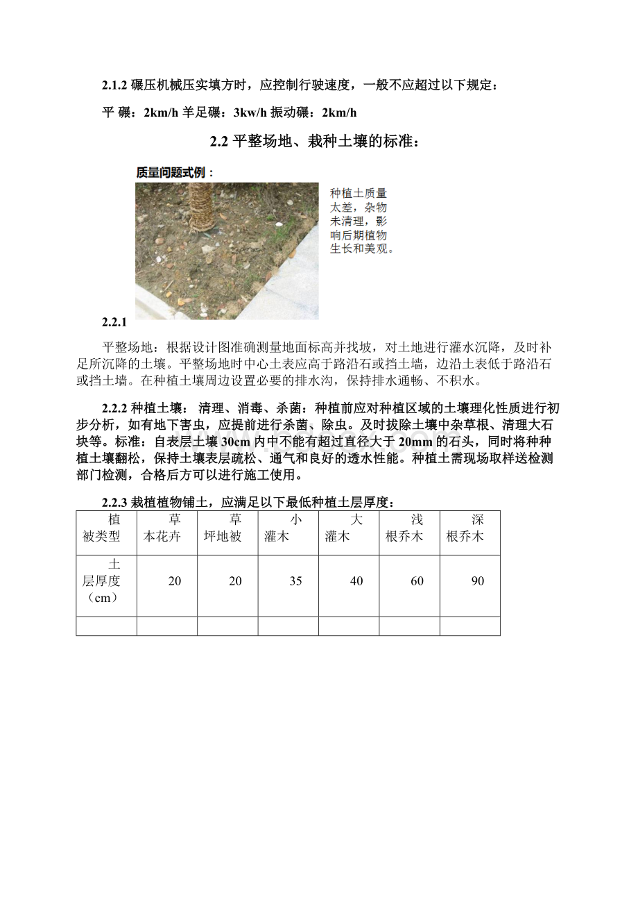 园林绿化施工工艺标准PLDCBZGC08A.docx_第3页