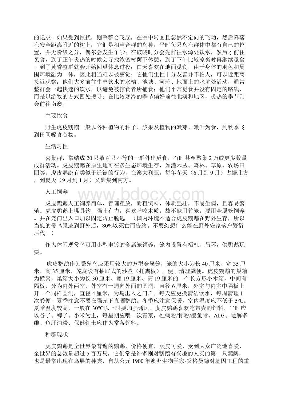 虎皮鹦鹉的品种养育繁殖知识最全合集.docx_第3页