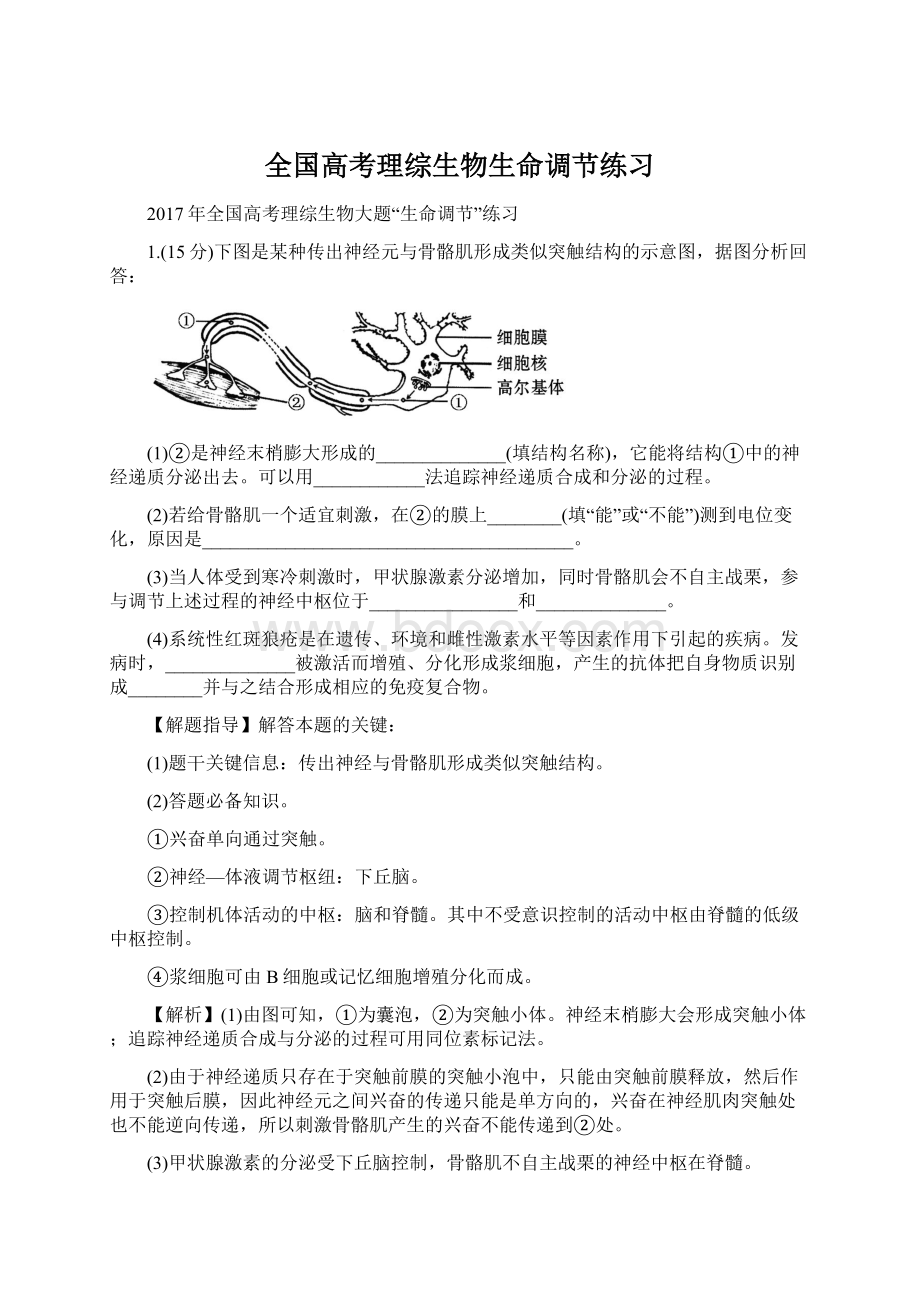 全国高考理综生物生命调节练习Word格式文档下载.docx_第1页