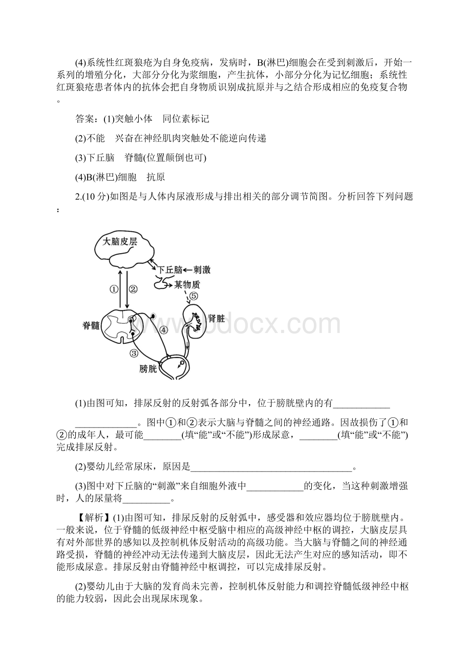 全国高考理综生物生命调节练习Word格式文档下载.docx_第2页