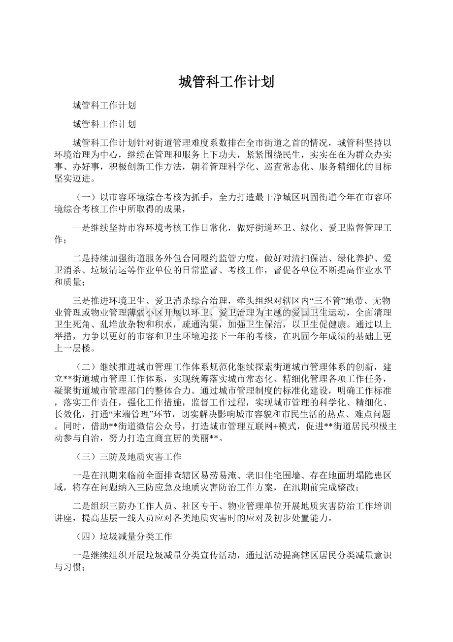 城管科工作计划.docx_第1页