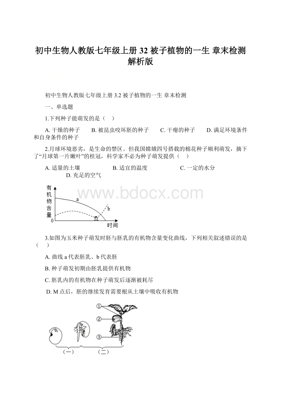 初中生物人教版七年级上册32 被子植物的一生 章末检测解析版Word文件下载.docx