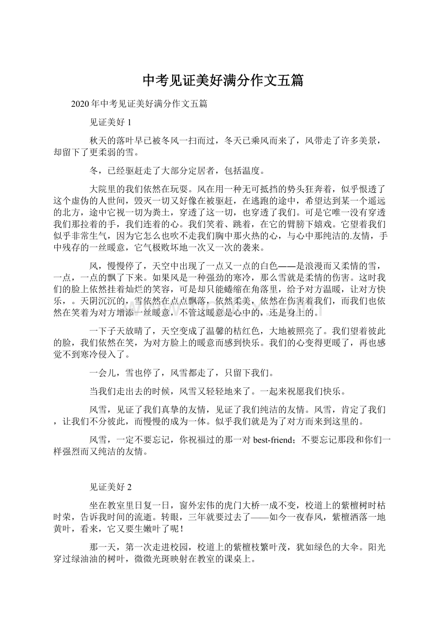 中考见证美好满分作文五篇Word文档下载推荐.docx