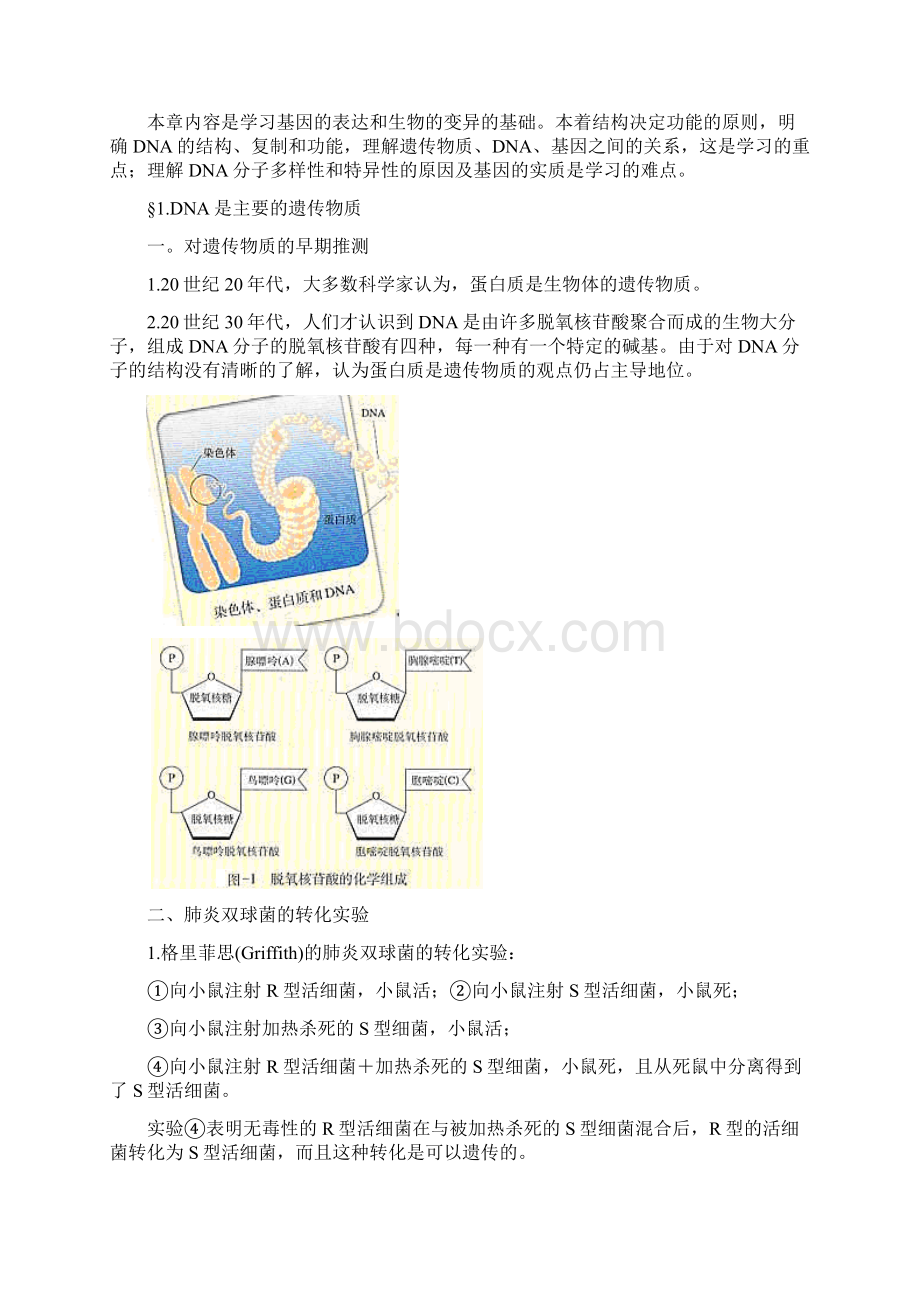 DNA是主要的遗传物质复习教案精Word文档格式.docx_第3页