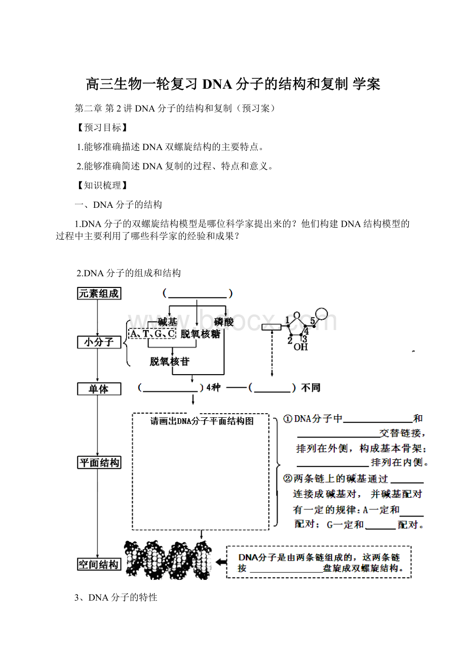 高三生物一轮复习 DNA分子的结构和复制 学案Word格式文档下载.docx